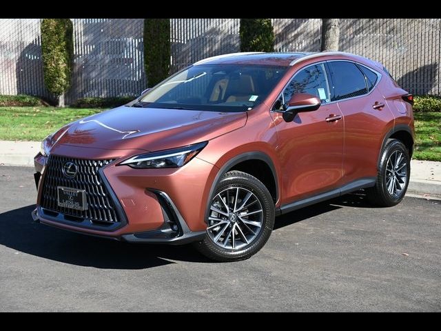 2025 Lexus NX 250 Premium