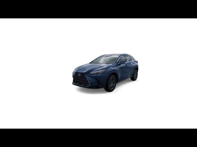 2025 Lexus NX 250 Premium