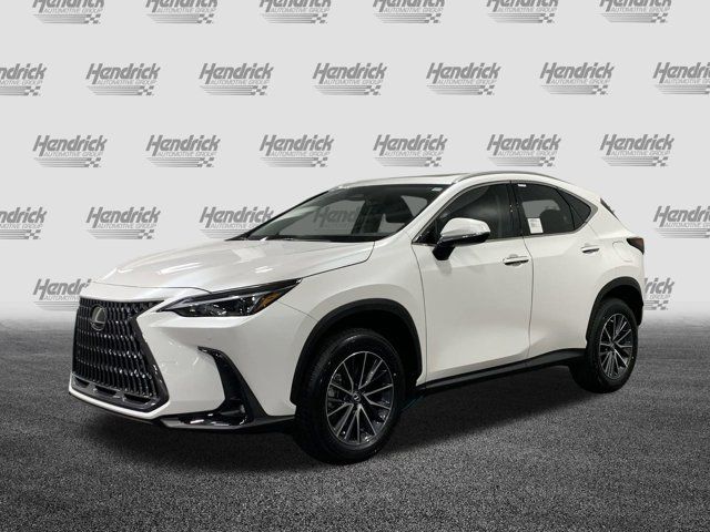 2025 Lexus NX 250 Premium