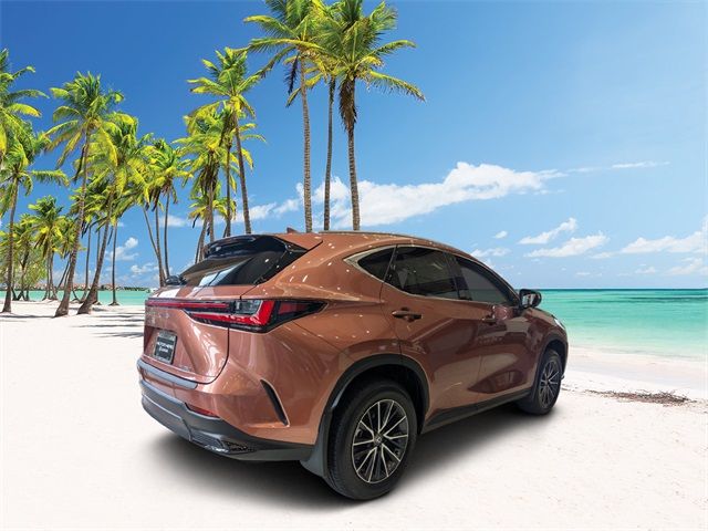 2025 Lexus NX 250 Premium