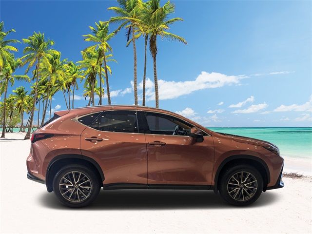 2025 Lexus NX 250 Premium