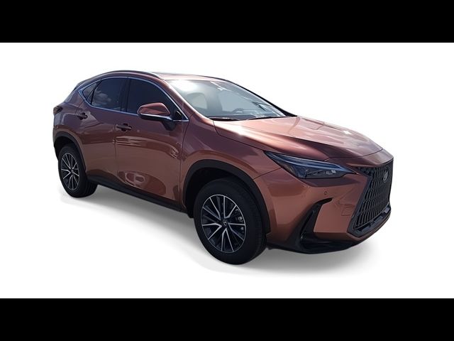 2025 Lexus NX 250 Premium