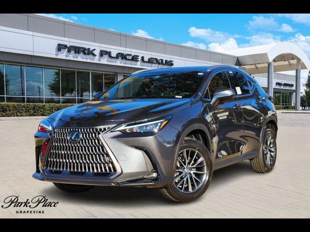 2025 Lexus NX 250 Premium