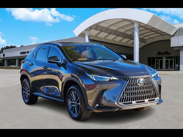 2025 Lexus NX 250 Premium