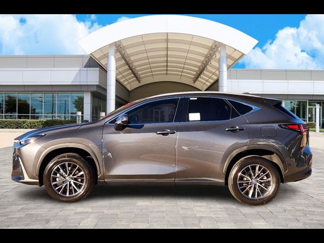 2025 Lexus NX 250 Premium