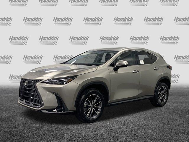 2025 Lexus NX 250 Premium