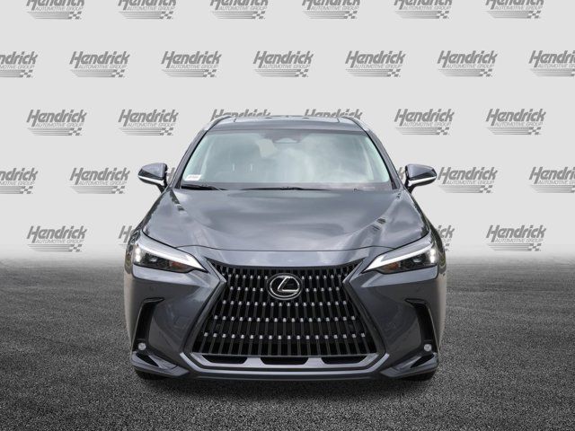 2025 Lexus NX 250 Premium