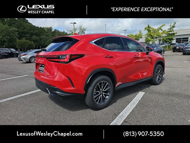 2025 Lexus NX 250 Premium