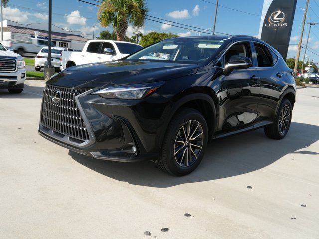 2025 Lexus NX 250 Premium