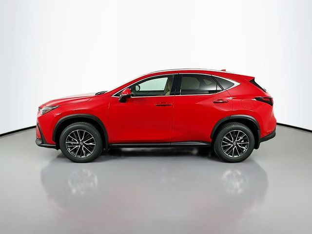 2025 Lexus NX 250 Premium