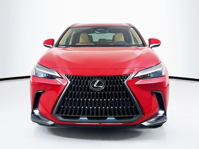 2025 Lexus NX 250 Premium