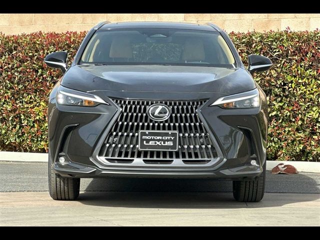 2025 Lexus NX 250 Premium