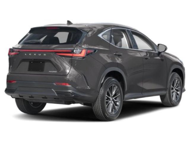 2025 Lexus NX 250 Premium