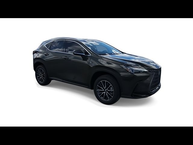 2025 Lexus NX 250 Premium