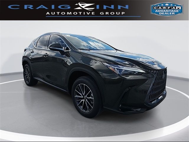 2025 Lexus NX 250 Premium