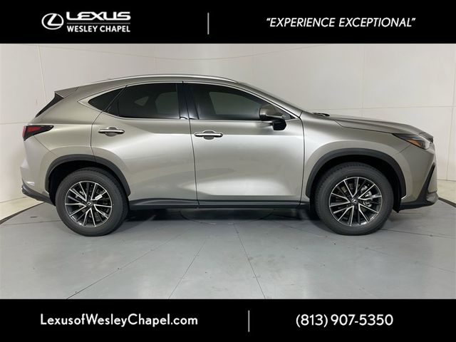 2025 Lexus NX 250 Premium