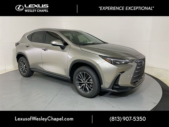 2025 Lexus NX 250 Premium