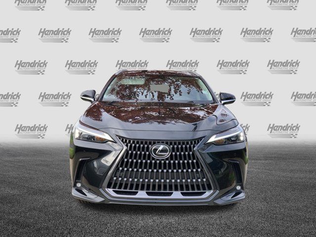 2025 Lexus NX 250 Premium