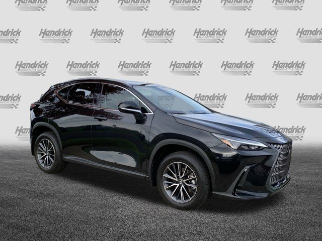 2025 Lexus NX 250 Premium