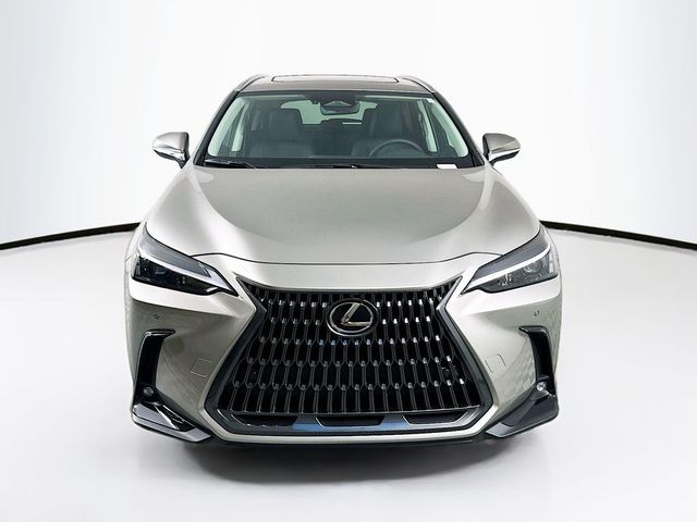 2025 Lexus NX 250 Premium