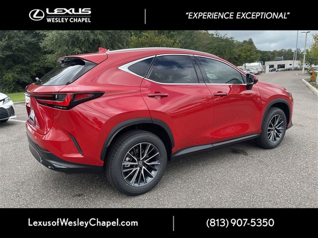 2025 Lexus NX 250 Premium