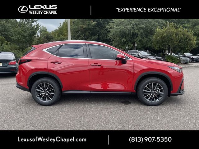 2025 Lexus NX 250 Premium