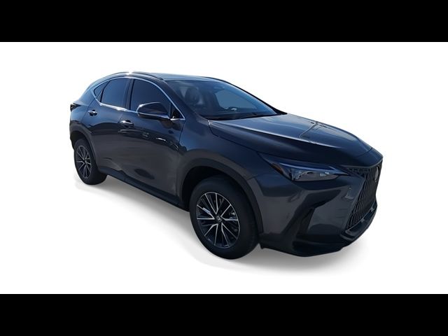 2025 Lexus NX 250 Premium