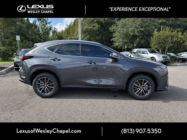 2025 Lexus NX 250 Premium