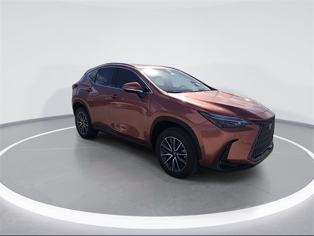 2025 Lexus NX 250 Premium