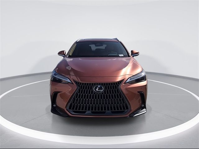 2025 Lexus NX 250 Premium