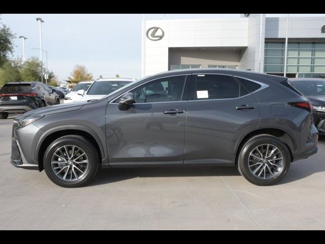 2025 Lexus NX 250 Premium