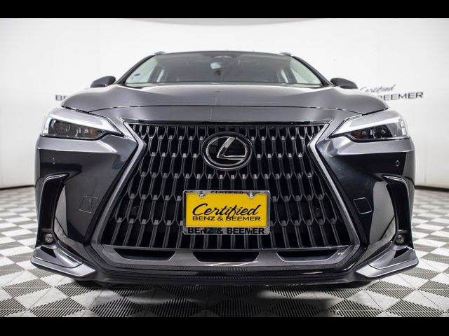 2025 Lexus NX 250 Premium
