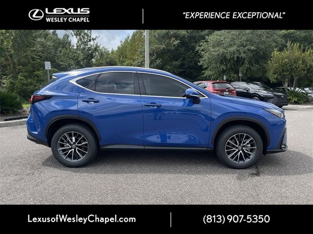 2025 Lexus NX 250 Premium