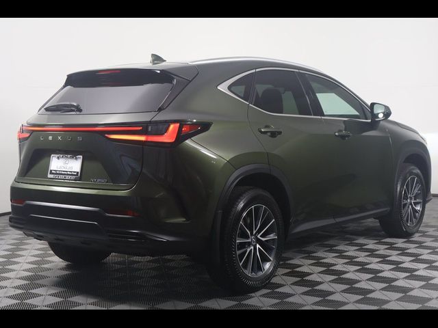 2025 Lexus NX 250 Premium