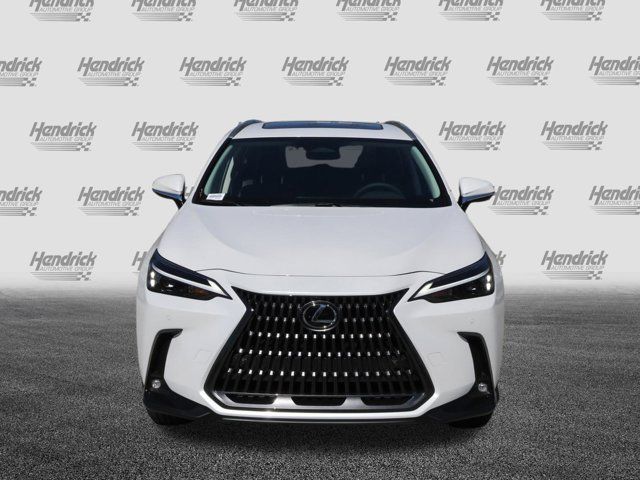 2025 Lexus NX 250 Premium