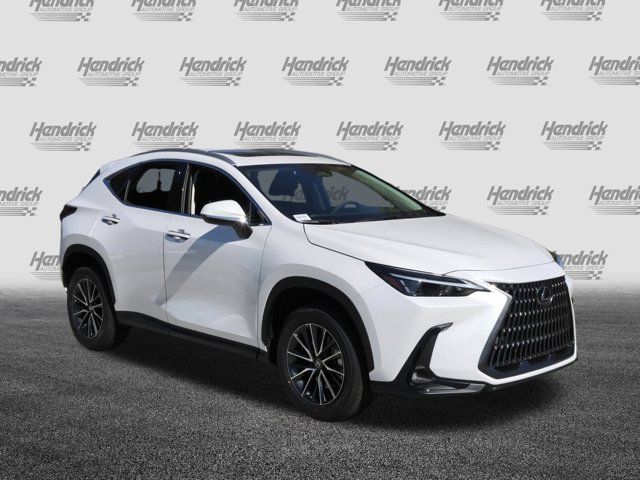 2025 Lexus NX 250 Premium