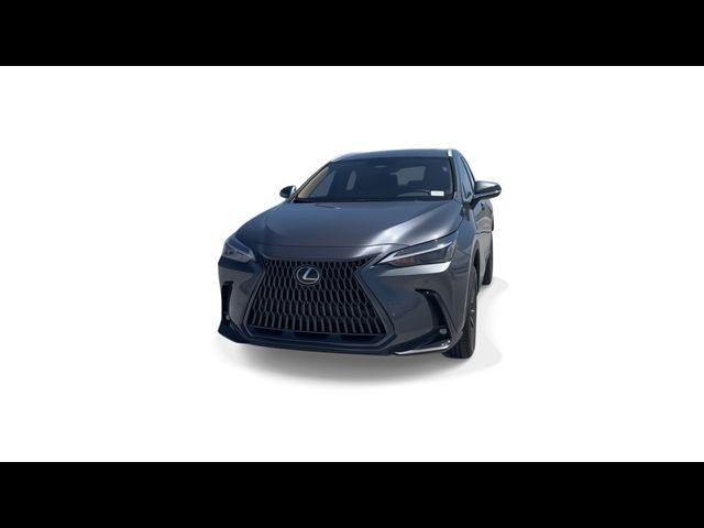 2025 Lexus NX 250 Premium