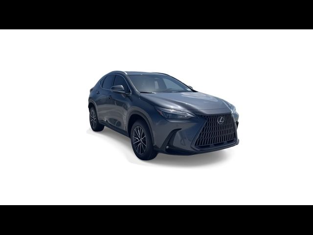 2025 Lexus NX 250 Premium