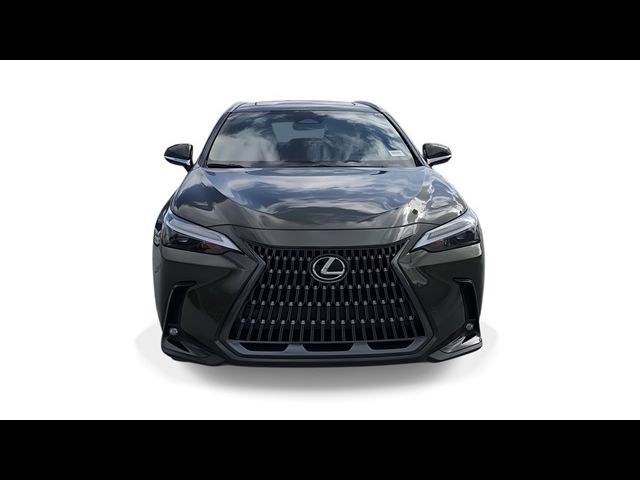 2025 Lexus NX 250 Premium