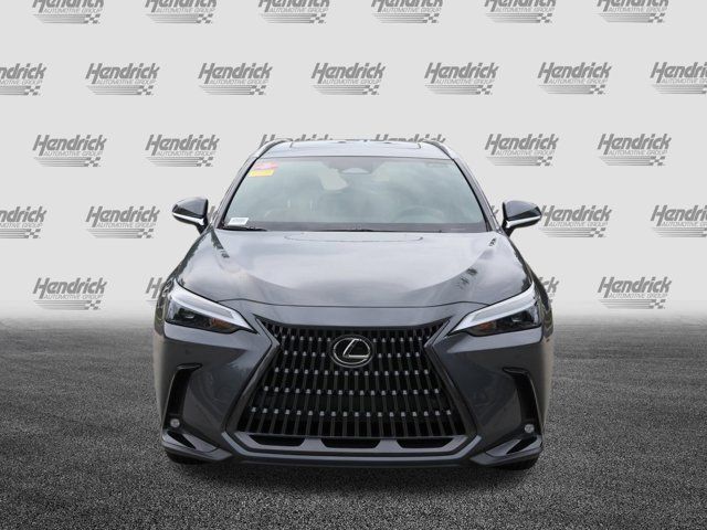 2025 Lexus NX 250 Premium