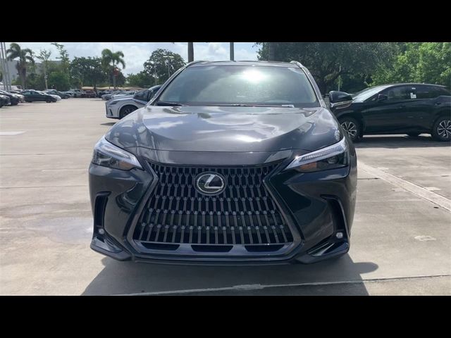 2025 Lexus NX 250 Premium