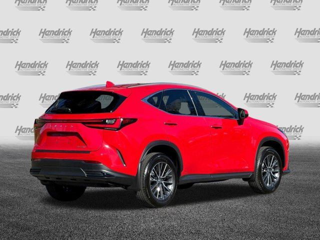 2025 Lexus NX 250 Premium