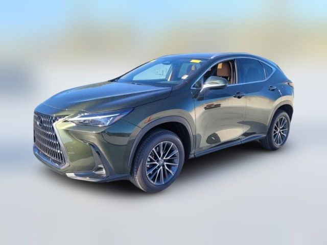 2025 Lexus NX 250 Premium