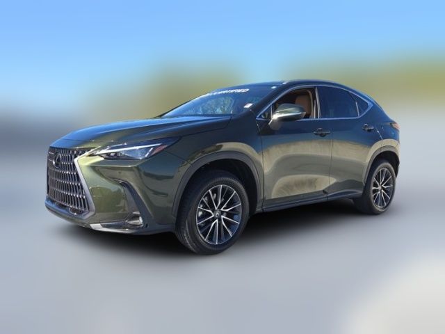 2025 Lexus NX 250 Premium