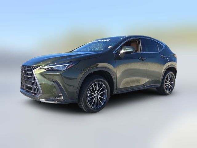 2025 Lexus NX 250 Premium