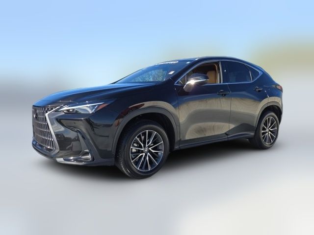 2025 Lexus NX 250 Premium