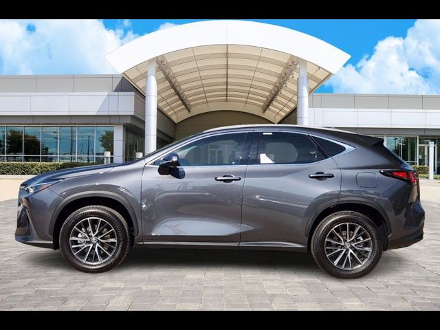 2025 Lexus NX 250 Premium