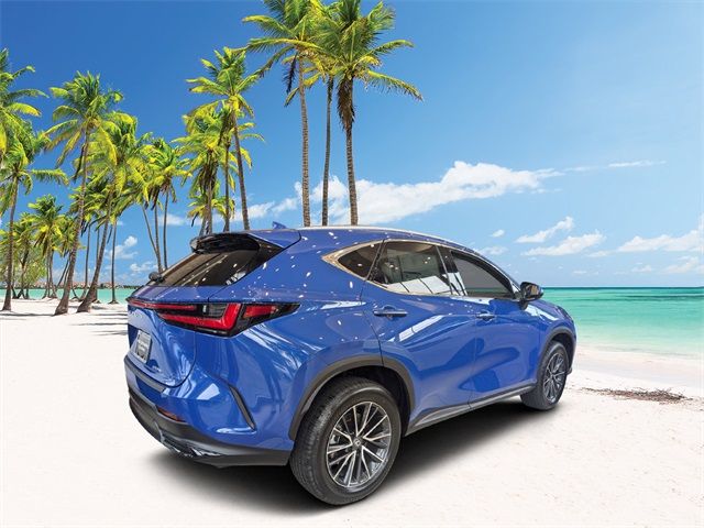 2025 Lexus NX 250 Premium