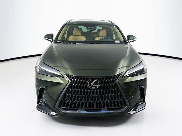 2025 Lexus NX 250 Premium