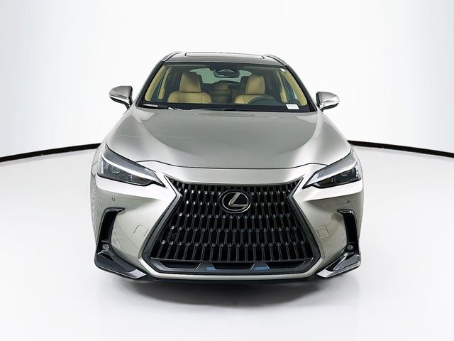 2025 Lexus NX 250 Premium